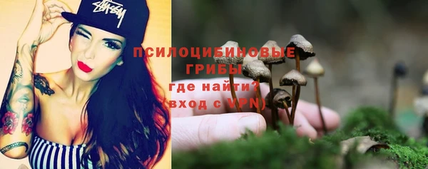 ALPHA PVP Алексин