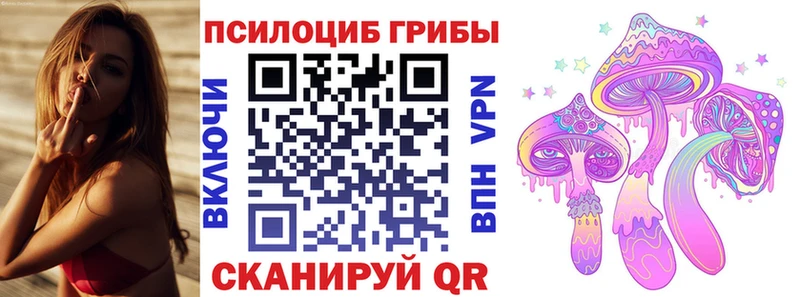 закладки  Симферополь  Псилоцибиновые грибы прущие грибы 