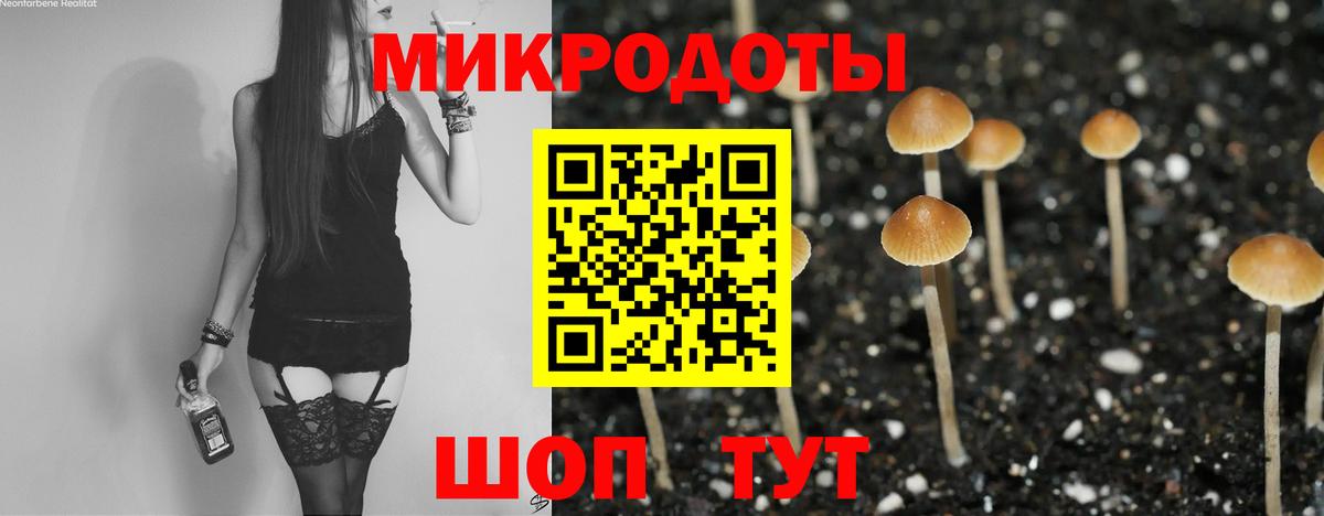 Симферополь  Псилоцибиновые грибы GOLDEN TEACHER  хочу   Вход с VPN  Псилоцибиновые грибы Psilocybine cubensis 